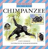 Chimpanzee