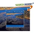 Confluence: Merrymeeting Bay by Franklin Burroughs and Heather Perry