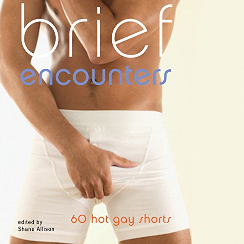 Brief Encounters: 69 Hot Gay Shorts