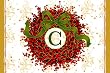 Monogram Holiday Wreath Floormat C Monogram Holiday Wreath Floormat C