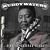 King of Chicago Blues