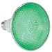 Par38 LED Flood Lamp Green 165 LED's