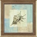 Sea Finds IV Wall Art - 12x12"