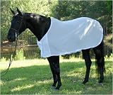 Moxie Equestrian Bodyguard Sheet with Magnet Closure