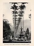 1913 Print Avenue Royal Palms Botanical Garden Rio de Janeiro Brazil Fountain - Original Halftone Print
