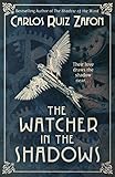 The watcher in the shadows