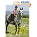 100 Ways to Perfect Equine Partnership