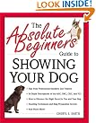 The Absolute Beginner's...