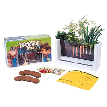 Scholastic Root Vue Farm