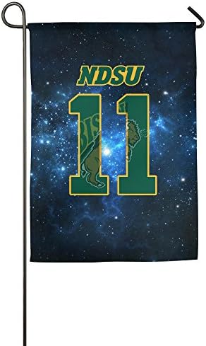 SYY Carson 11# Wentz Footabll Player Wedding Garden Flag 12*18 Inch