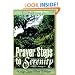 Prayer Steps to Serenity: Daily Quiet Time Edition