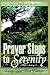 Prayer Steps to Serenity: Daily Quiet Time Edition