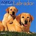 Book Labrador (Aspca Dog and Cat Breed Series)