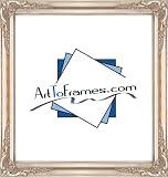 12x16 / 12 x 16 Picture/Photo/Certificate Silver Leaf Frame