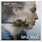New Soul