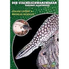 Der Stachelschwanzwaran: Varanus acanthurus