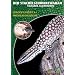 Der Stachelschwanzwaran: Varanus acanthurus