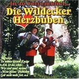 Ist das Nicht Himmlisch - Wildecker Herzbuben