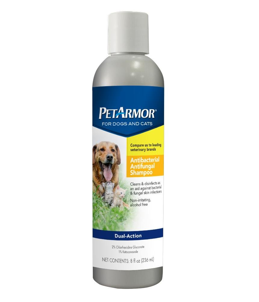 PetArmor Antibacterial Antifungal Shampoo for Dogs & Cats 8 oz PETARMOR