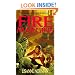 Fire Margins (Daw Book Collectors)