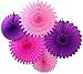 5-Piece Tissue Paper Fans, Purple Pink Party