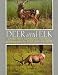 Deer and Elk