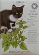 Catnip Certified Organic Seeds 450 Seeds