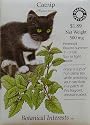 Catnip Certified Organic Seeds 450 Seeds