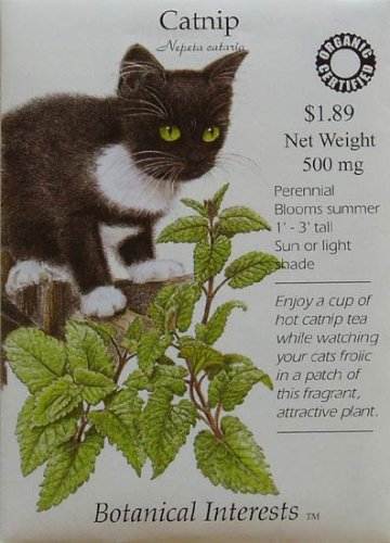 Catnip Certified Organic Seeds 450 Seeds