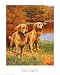 Fall Guys, Golden Retriever Art Poster Print by Nigel Hemming, 24x30