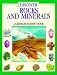Discover Rocks and Minerals (Discover Series)