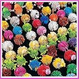 50pc Bulk Spike Ball Character Assortment