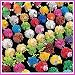 50pc Bulk Hedge Ball Character Assortment