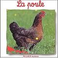 La Poule
