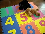 楽しく遊んで頭の体操パズルマット10枚セットすうじ柄