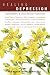 Search : Healing Depression: Naturopathic and Conventional Treatments