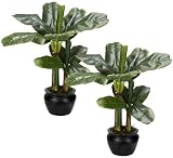 2 Artificial Banana Palm Trees Tropical Silk Decor Plants (2x 28" + 2x 21") Pre-potted in Two Pots