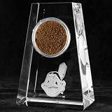 MLB Cleveland Indians Tapered Crystal Game-Used Dirt Paperweight