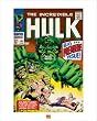 The Incredible Hulk - Comic Poster / Art Print (Comic Cover) (Size: 16" x 20")