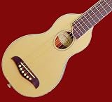 NEW PRO WASHBURN TRAVEL ACOUSTIC GUITAR W/CASE RO10