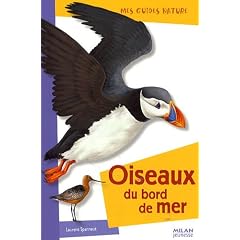 Oiseaux du bord de mer