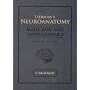 Liebman's Neuroanatomy Made Easy And Understandable