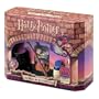 Harry Potter Spells and Potions Hogwarts Class Kit