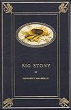 Big Stony