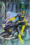 Batman Batgirl: Batgirl