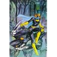 Batman Batgirl: Batgirl (Batman)