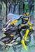 Books : Batman Batgirl: Batgirl (Batman)