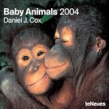Baby Animals 2004 Daniel J - Cox Brosch&uuml;renkalender - 