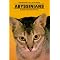 Abyssinian Cats