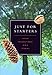 Book Just for Starters: Seven Foundational Bible Studies